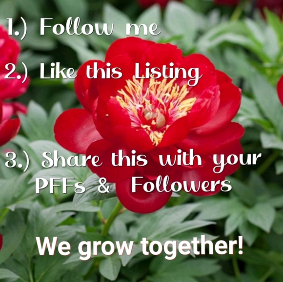 Follow Me to 250k! Thank You for Your Support! - Picture 5 of 12